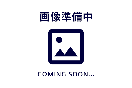 株式会社カイシン